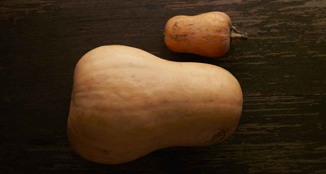 Honeynut squash (top) compared to butternut squash (bottom)